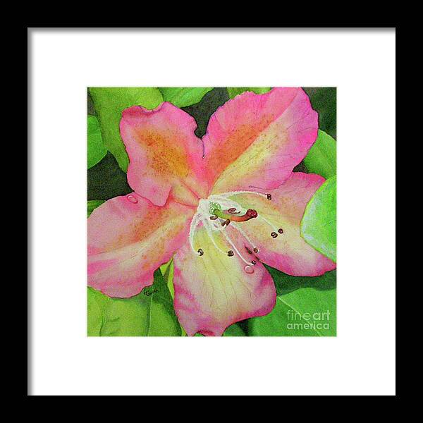 Flower Framed Print featuring the painting Rhodie with Dew II by Lynn Quinn