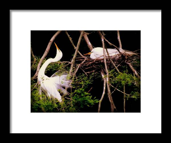 Nesting Birds Framed Print featuring the photograph RHYTHM of NATURE by Karen Wiles