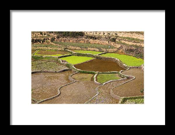 Feb0514 Framed Print featuring the photograph Rice Terraces Madagascar by Konrad Wothe