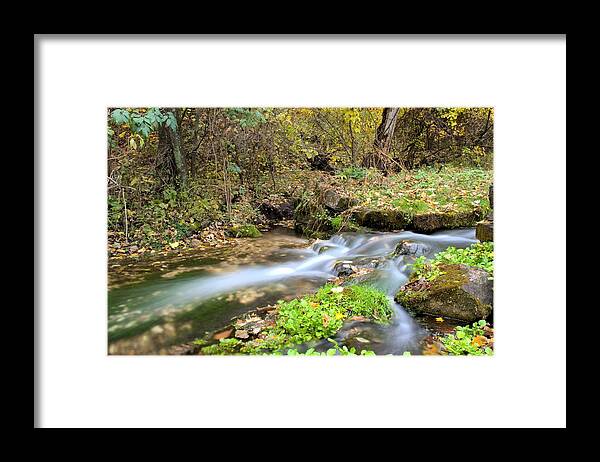 Water Framed Print featuring the photograph Richmond Springs by Bonfire Photography