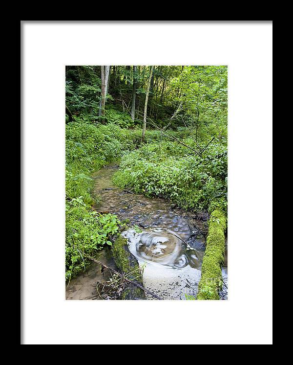 Ridgeway Framed Print featuring the photograph Ridgeway creek by Steven Ralser