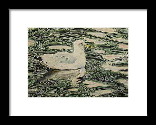 Bird Framed Print featuring the painting Ring bill Seagull by Stan Tenney