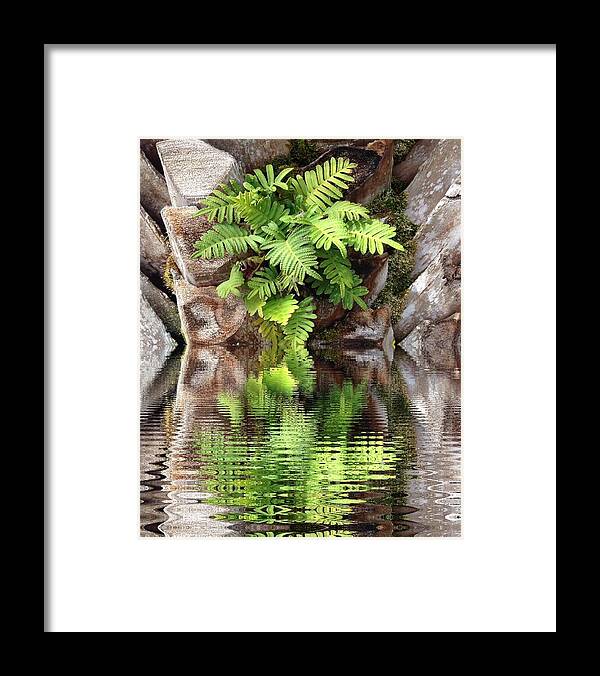 Ripples Framed Print featuring the photograph Ripples and Reflection by Marian Lonzetta