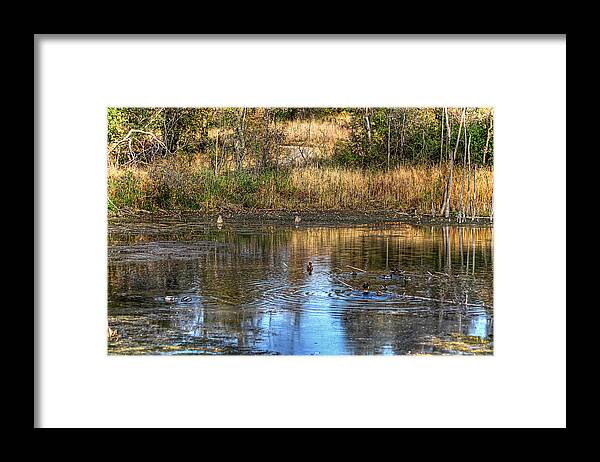 Image Framed Print featuring the photograph Ripples On A Pond by Richard Gregurich