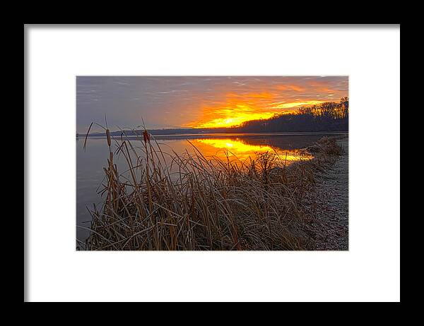 Cattails N Shoreline On Lake At Sunrise Framed Print featuring the photograph Rising Sunlights Up Shore Line Of Cattails by Randall Branham
