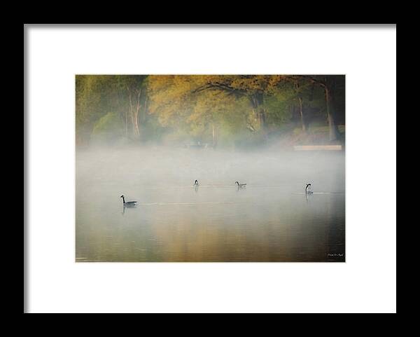 River Framed Print featuring the photograph River at Sunrise by Everet Regal