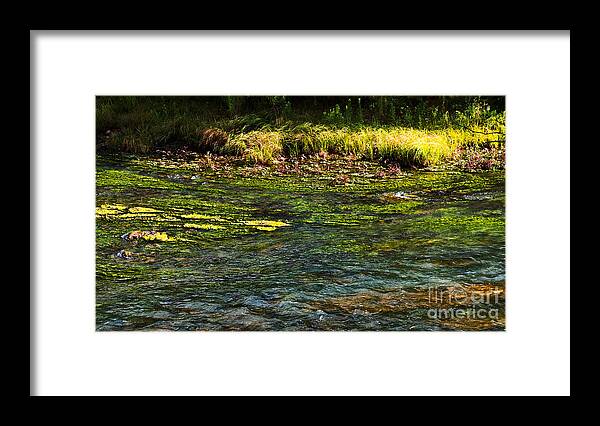 Colors Framed Print featuring the photograph River Colors by Gary Richards
