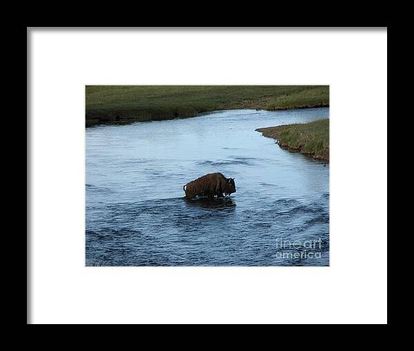  Framed Print featuring the photograph River Crossing by Jim Goodman