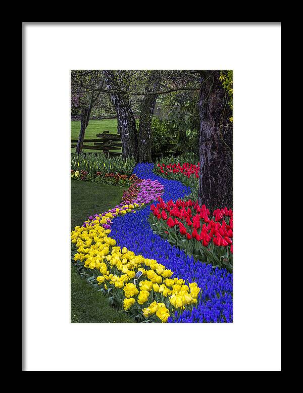 Garden Framed Print featuring the photograph River of Blue by Sonya Lang