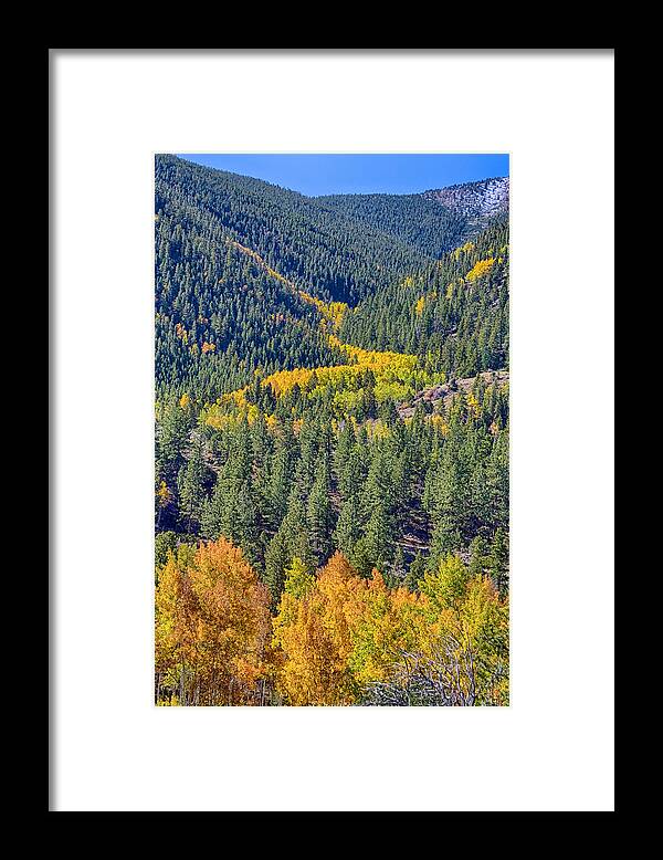Autumn Framed Print featuring the photograph River Of Gold by James BO Insogna