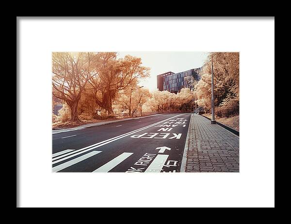 Pole Framed Print featuring the photograph Road And Road Sign by D3sign