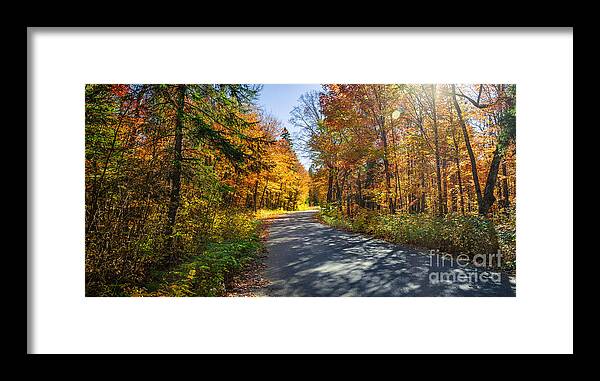 Road Framed Print featuring the photograph Road through fall forest by Elena Elisseeva