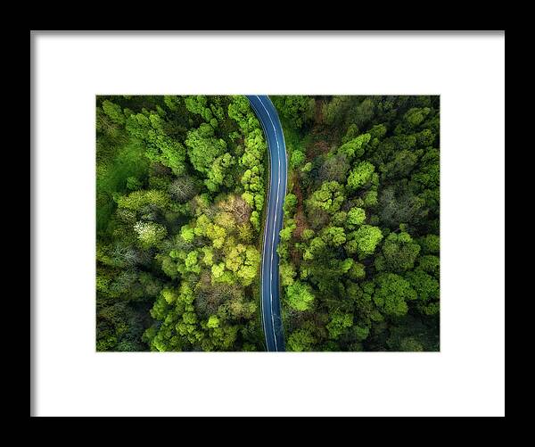 Landscape Framed Print featuring the photograph Road In The Forest by Alfonso Maseda Varela