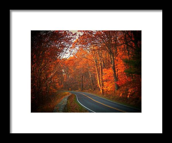 Shenandoah National Park Framed Print featuring the photograph Road in the Park by Joyce Kimble Smith