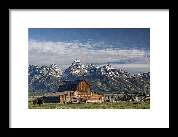Green Framed Print featuring the photograph Roaming the Range by Jon Glaser