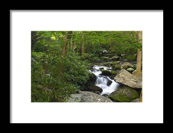 Art Prints Framed Print featuring the photograph Roaring Fork by Nunweiler Photography