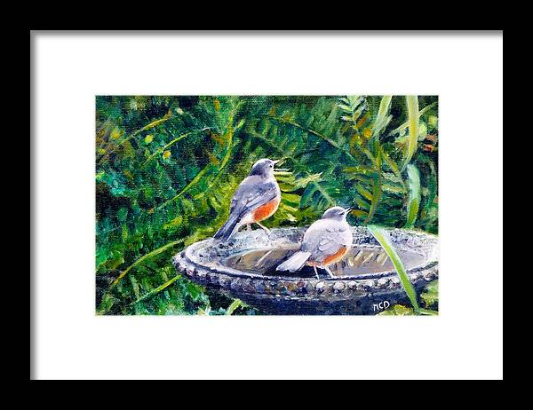 Robins Drinking Framed Print featuring the painting Robins Drinking by Marie-Claire Dole