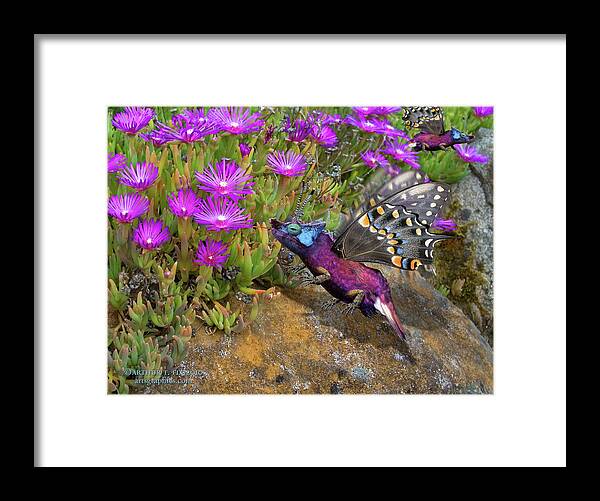 Rock Framed Print featuring the digital art Rock Flower Birguana Fly by Arthur Fix
