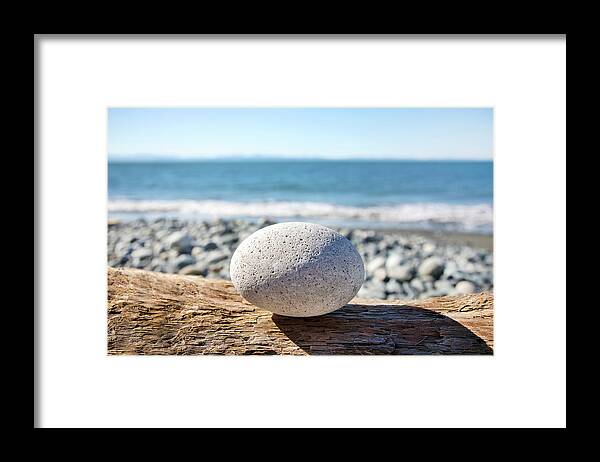Toughness Framed Print featuring the photograph Rock On Log by Grant Faint