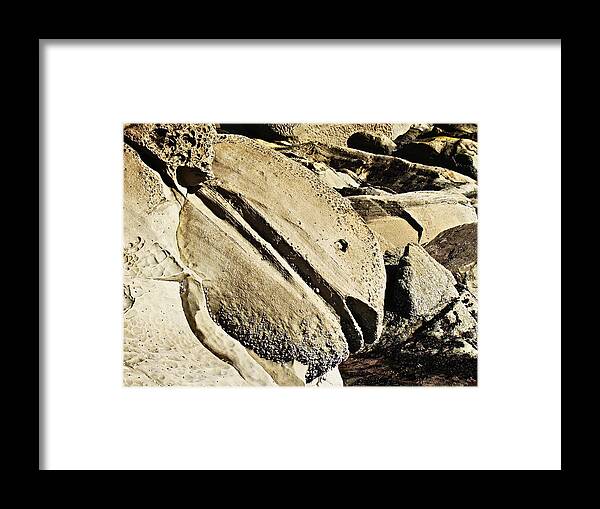 Sandstone Framed Print featuring the photograph Rockfish by Nick Kloepping