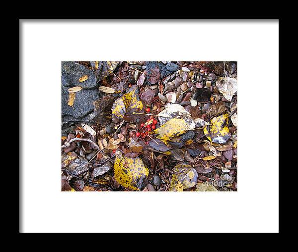 Rocks Framed Print featuring the photograph Rocks and Berries by Leone Lund