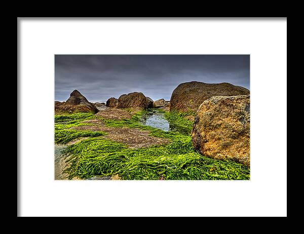 Rock Framed Print featuring the photograph Rocks and Seaweed by Joseph Bowman