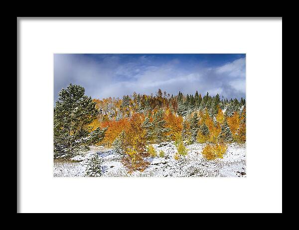 Snow Framed Print featuring the photograph Rocky Mountain Autumn Storm by James BO Insogna