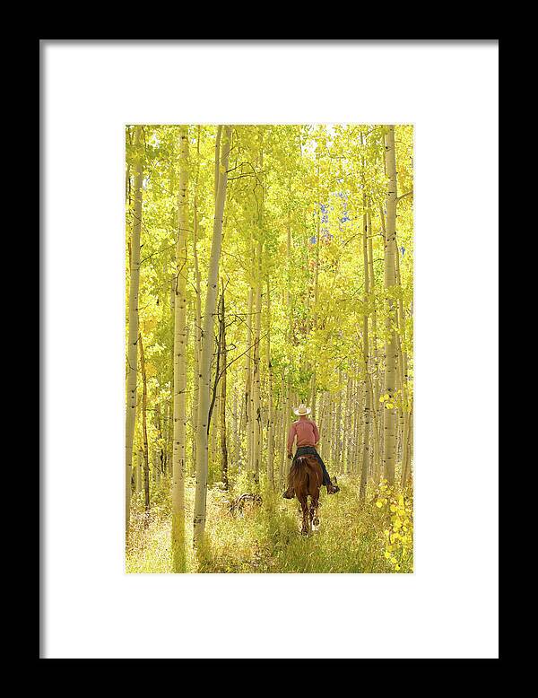 Horse Framed Print featuring the photograph Rocky Mountain Lifestyle by Amygdala imagery