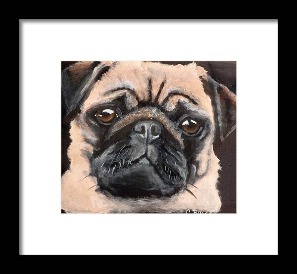 Close Up Of Roger The Pug Framed Print featuring the painting Roger by Carol Russell