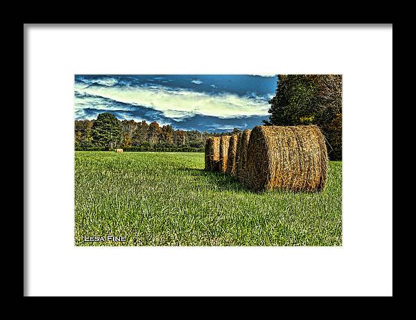 Hay Framed Print featuring the photograph Rolled Hay Bales HDR Art by Lesa Fine