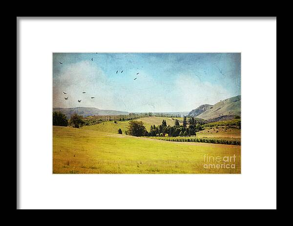 Landscape Framed Print featuring the photograph Rolling hills by Sylvia Cook