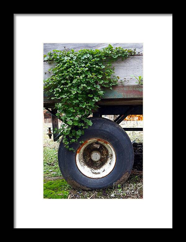 Tire Framed Print featuring the photograph Rolling On by Patricia Strand