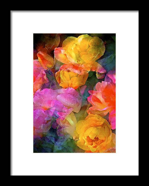Floral Framed Print featuring the photograph Rose 224 by Pamela Cooper