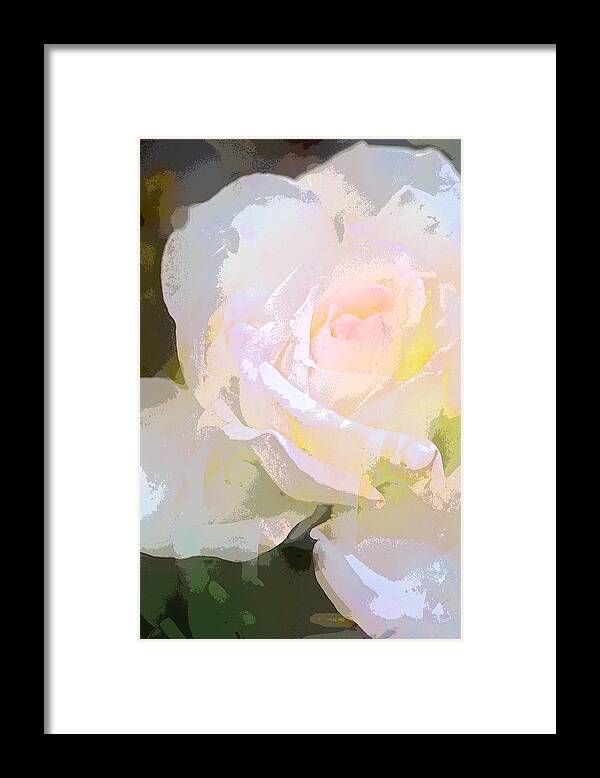 Floral Framed Print featuring the photograph Rose 254 by Pamela Cooper