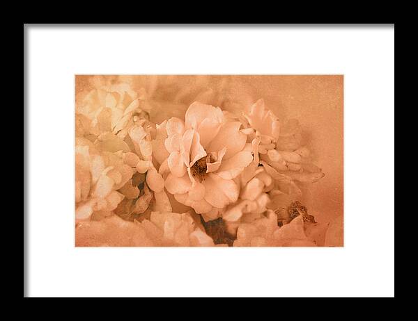 Rose Bouquet In Sepia. Framed Print featuring the photograph Rose Bouquet in Sepia by Kathleen Stephens