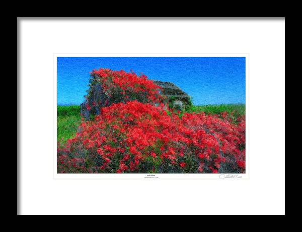 Valentines Framed Print featuring the photograph Rose Cabin by Lar Matre