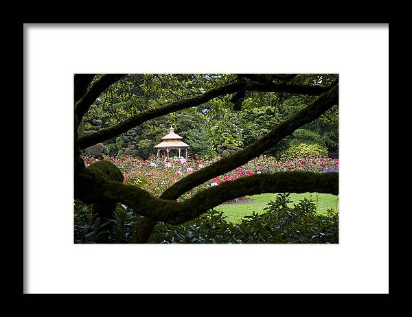 Seattle Framed Print featuring the photograph Rose Garden Window by Sonya Lang