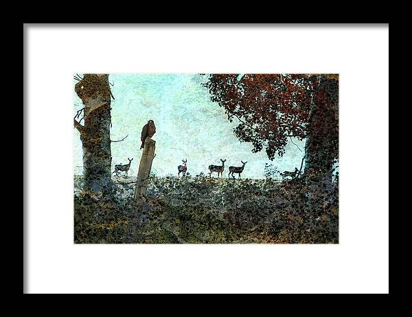 Wildlife Framed Print featuring the photograph Rose Hill - Autumn by Ed Hall