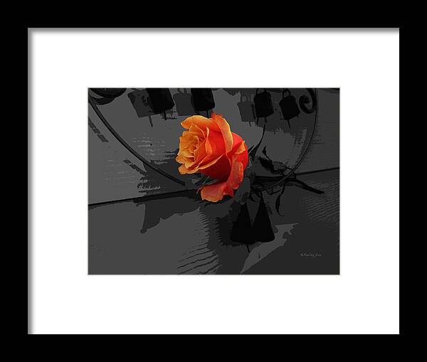 Rose Framed Print featuring the photograph Rose III - A Message by Xueling Zou