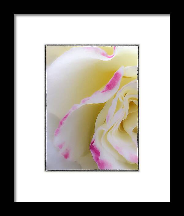 Abstract Framed Print featuring the photograph Rose by Jonathan Nguyen