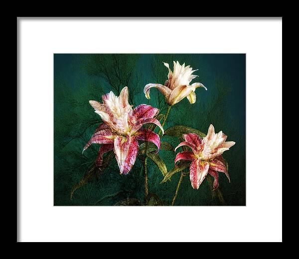 Rose Lily Art Framed Print featuring the photograph Rose Lily Number Three by Bob Coates
