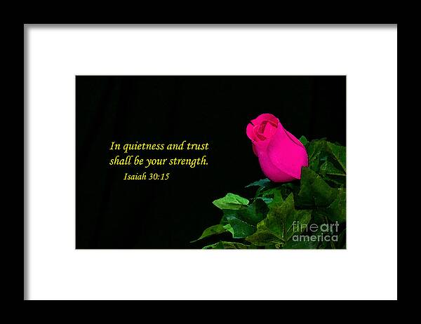 Rose Framed Print featuring the photograph Rose of Love by Gene Bleile Photography 