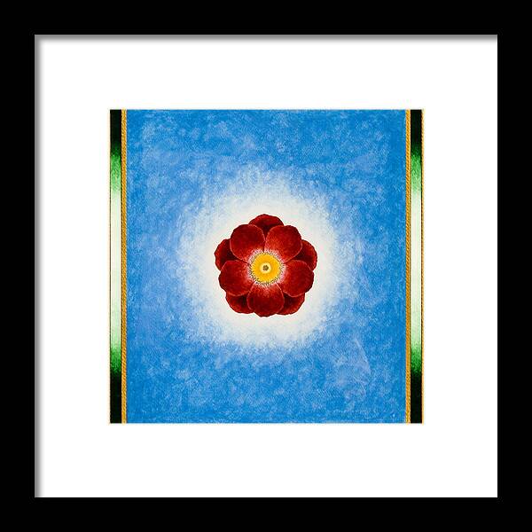 Watercolor Framed Print featuring the painting Rose On Blue by Lee Santa