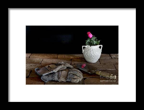 Gardening Framed Print featuring the photograph Rose Reflection by Gene Bleile Photography 