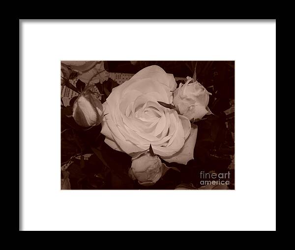 Sepia Framed Print featuring the photograph Rose by Tiziana Maniezzo