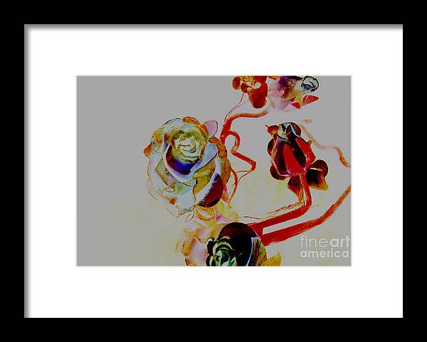 Rose Framed Print featuring the photograph Roses Artwork by Loni Collins