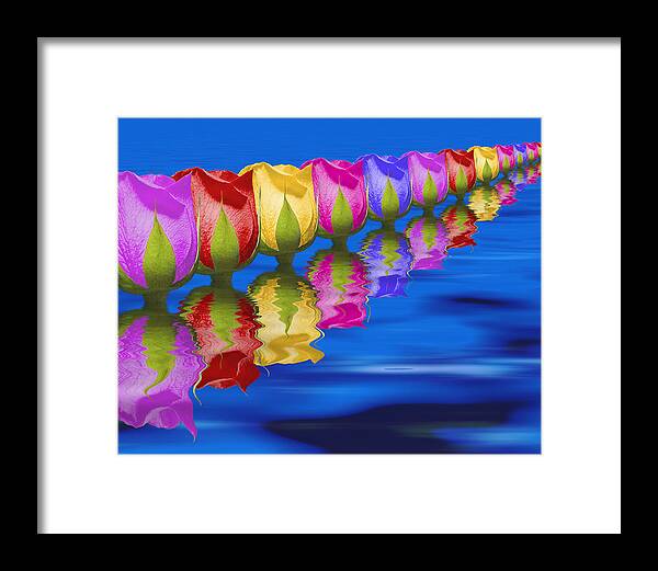 Roses Framed Print featuring the photograph Roses Floating by Tom Mc Nemar