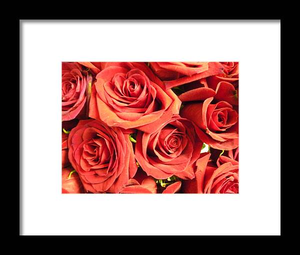 Wall Framed Print featuring the photograph Roses On Your Wall by Joseph Baril