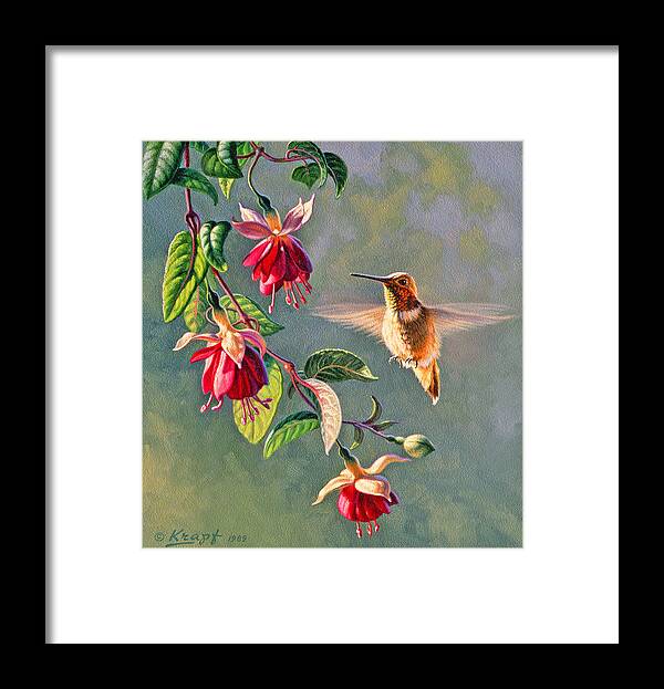 Wildlife Framed Print featuring the painting Rufous and Fuschia by Paul Krapf