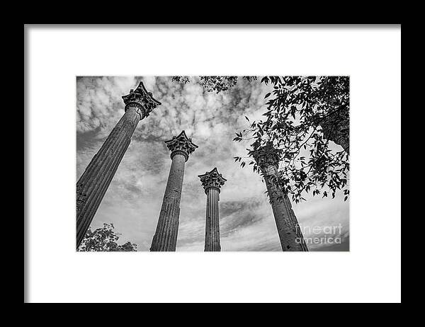 Windsor Framed Print featuring the photograph Ruins of Windsor in southwest Mississippi by T Lowry Wilson